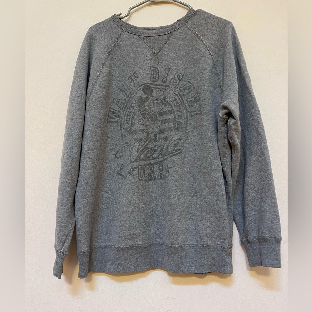 Disney Parks Walt Disney World Est 1971 Sweatshirt